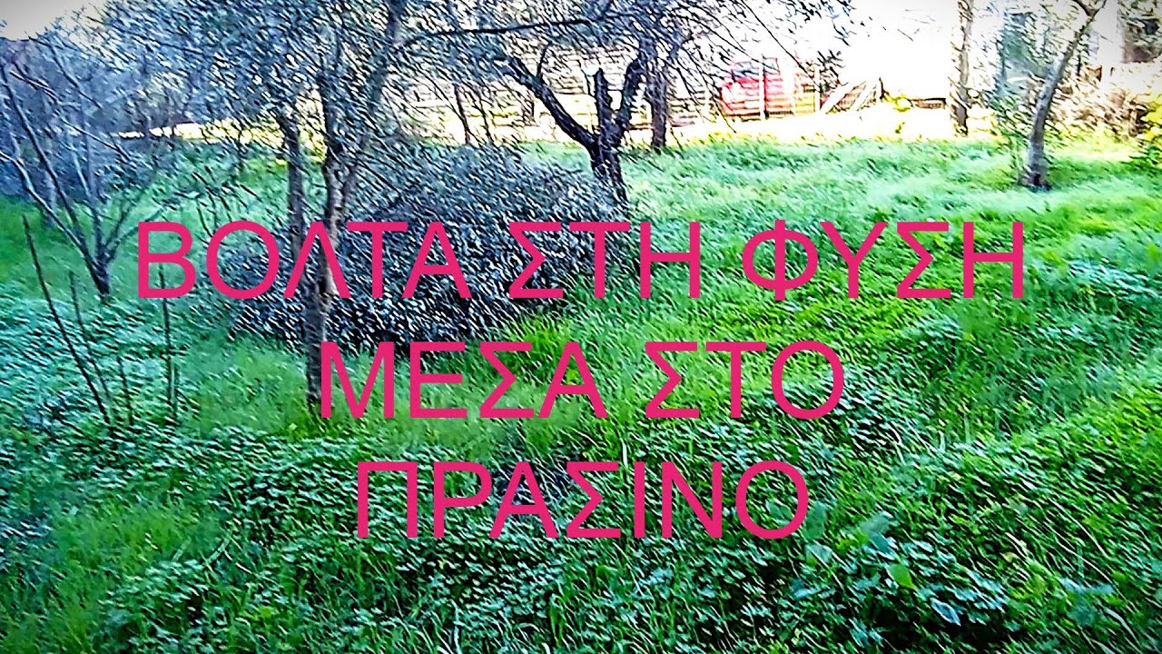 ΒΟΛΤΑ ΣΤΗ ΦΥΣΗ ΓΙΑ ΣΩΜΑΤΙΚΗ ΚΑΙ ΝΟΗΤΙΚΗ ΑΝΑΓΕΝΝΗΣΗ !