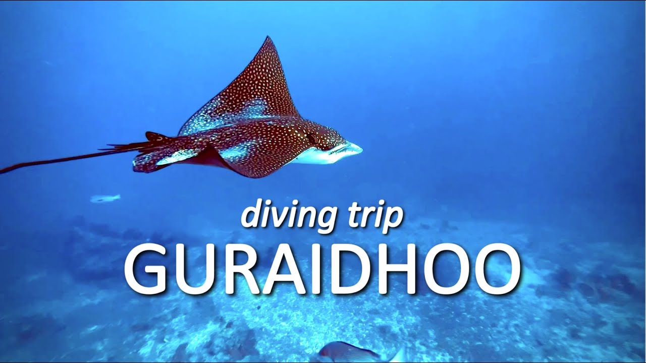 Guraidhoo | A diving trip