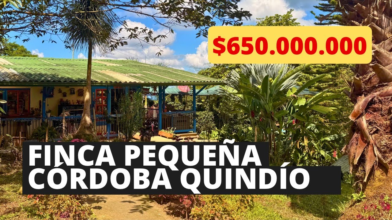 Finca productiva en venta Córdoba Quindío a sólo 2.5 kilómetros de la plaza principal  3 HECTÁREAS