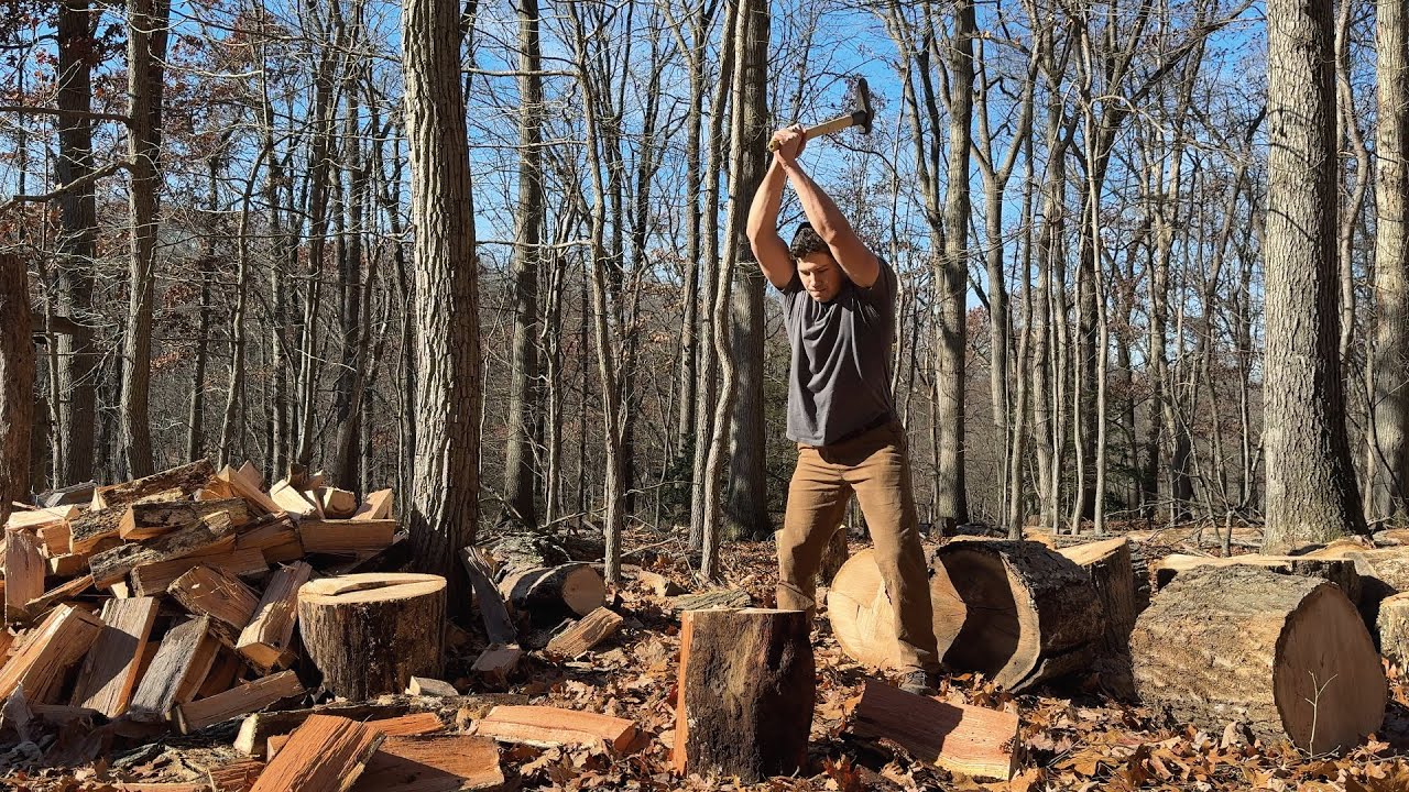 Big Oak Cleanup: 4 Days of Cutting, Splitting, & Stacking Firewood