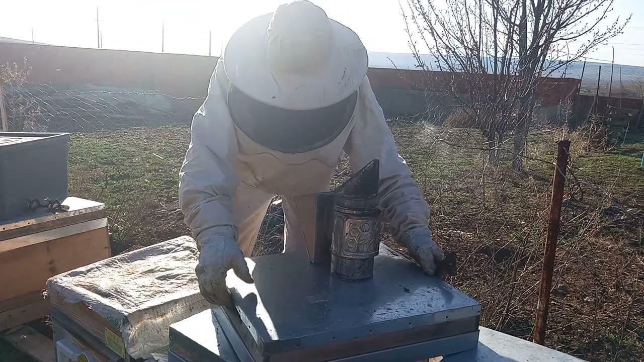 Arılara bal takfiyesi ve erkek çıtası verdik