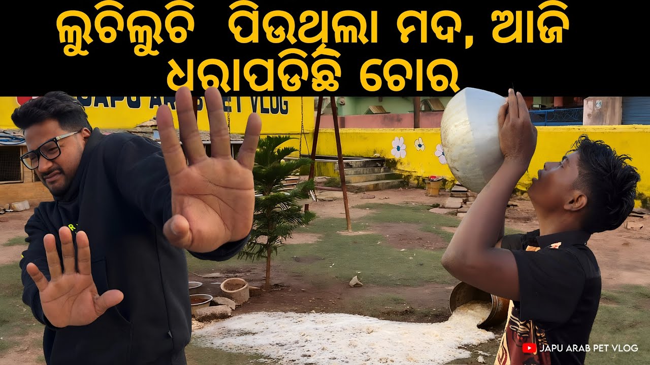 ଲୁଚିଲୁଚି  ପିଉଥିଲା ମଦ, ଆଜି ଧରାପଡିଛି ଚୋର || FINALLY ମାଉସୀଙ୍କ ମୁହଁରେ ହସ ଫୁଟାଇ ପାରିଲୁ 😍