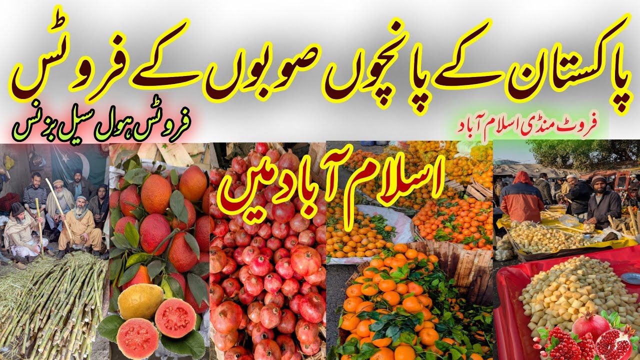 Pakistan’s Biggest Fruit Market 🍎 | Islamabad Fruit Mandi Secret | Demand, Supply & Business Reality