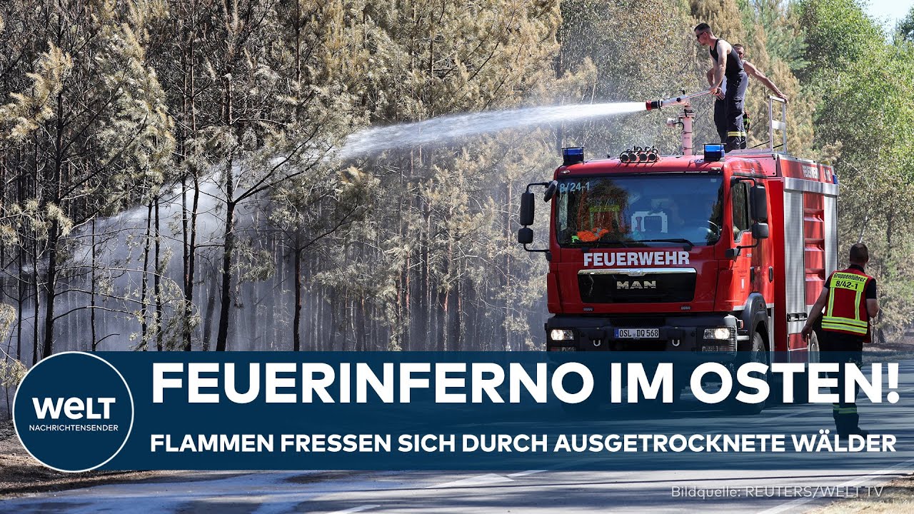HITZEWELLE: Feuerwehr kämpft gegen Flammen – Erste Waldbrände in Deutschland
