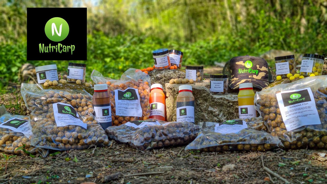 Présentation des bouillettes Nutricarp ~ Pêche de la carpe