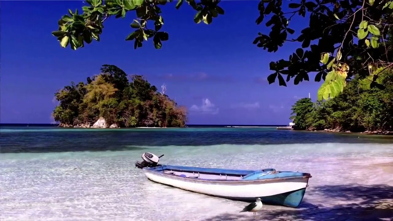 Relaxing ocean atmosphere on a tropical island with a view of paradise 10 Hours Relax and Sleep