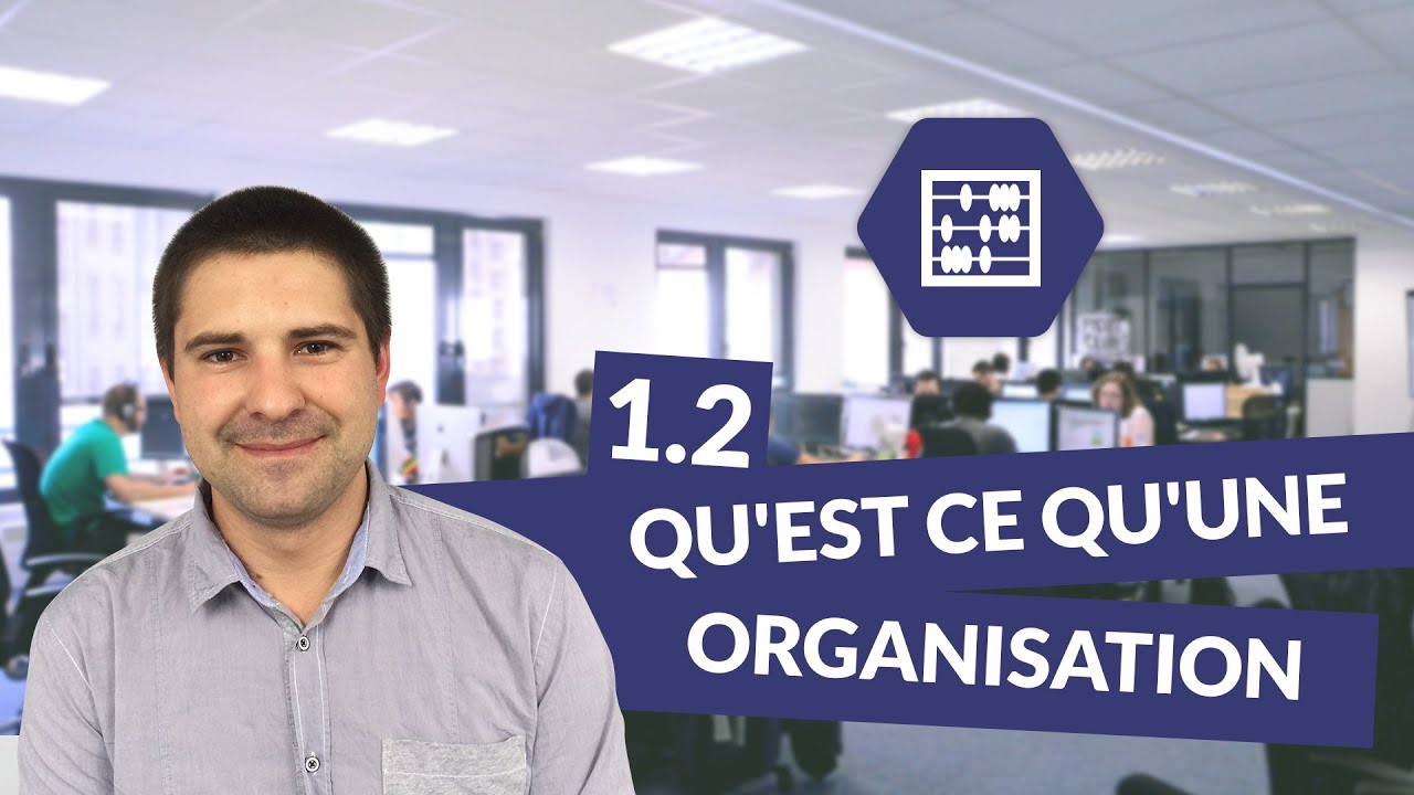 Chapitre 1 : Qu'est ce qu'une organisation 2/3 - Management Bac STMG - digiSchool