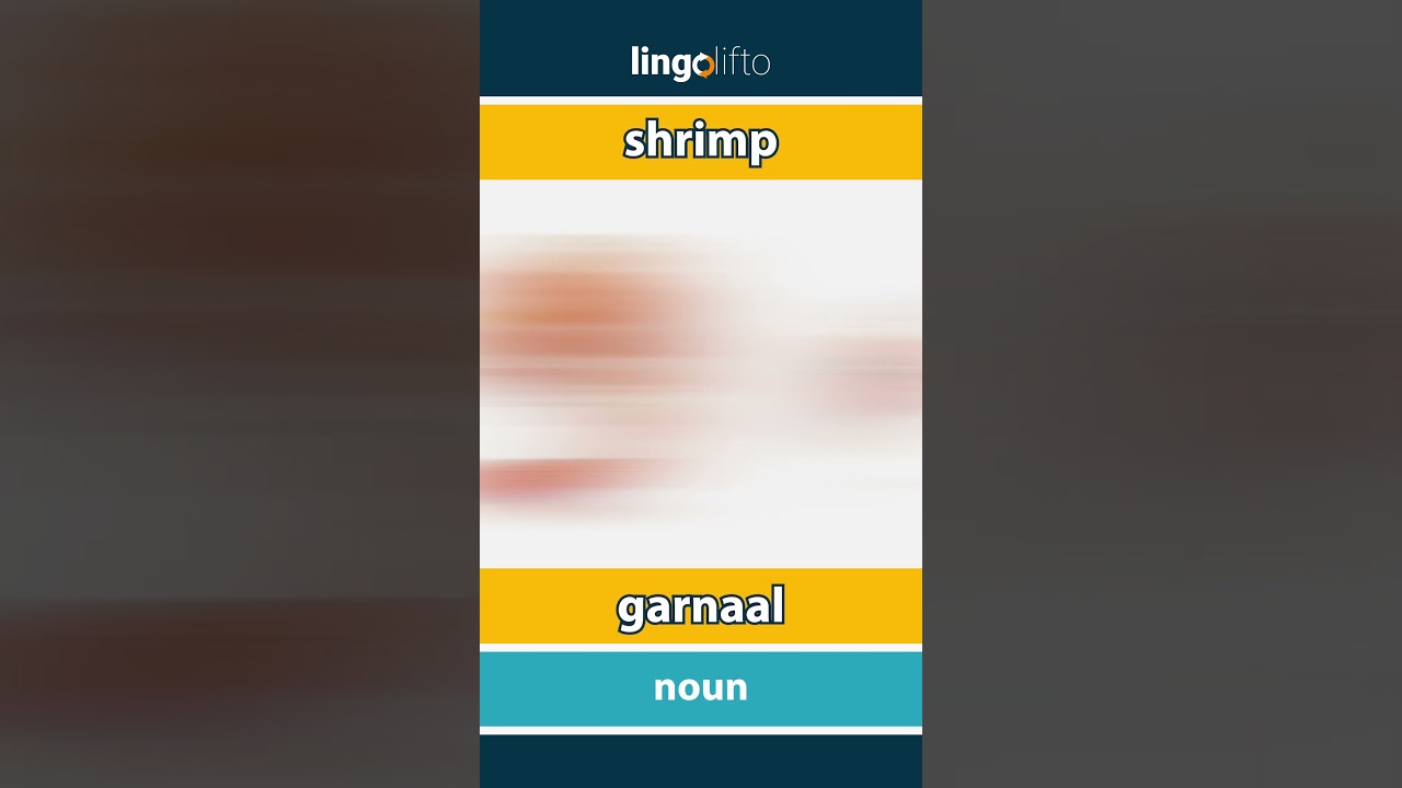 🇬🇧🇳🇱 shrimp - garnaal : learn English : laten we Engels leren : vocabulary builder