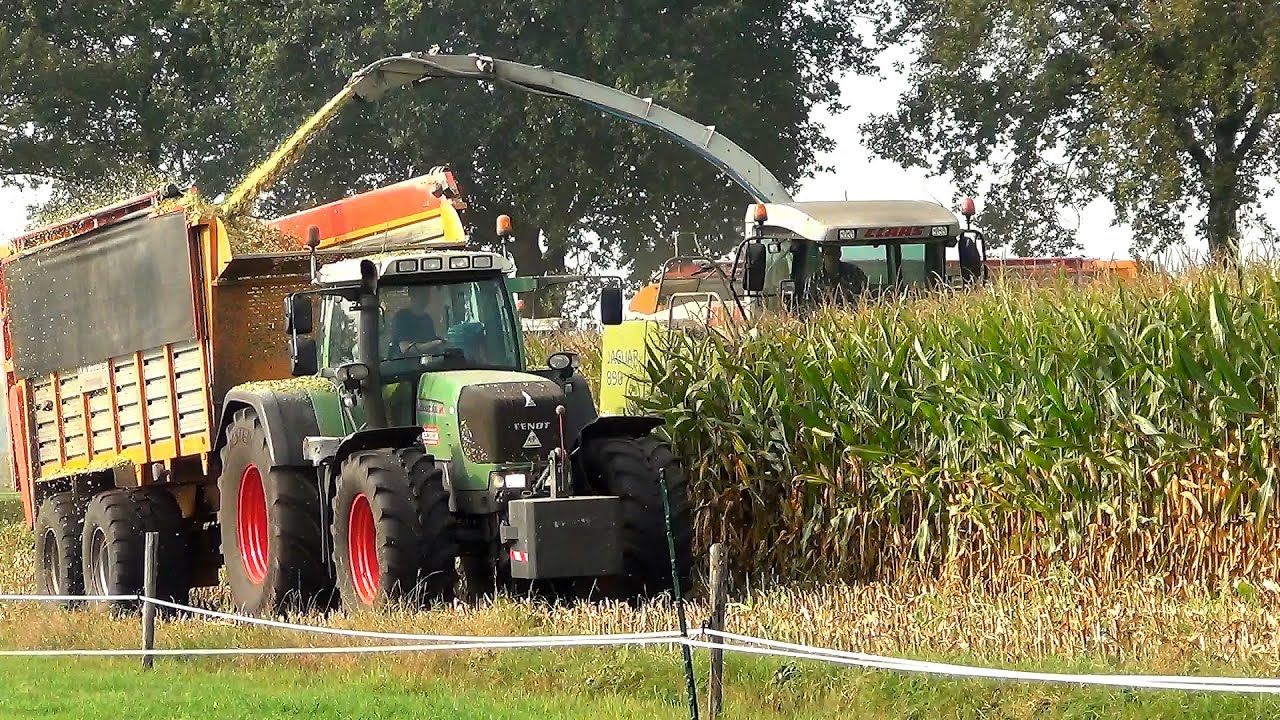 In de mais met Claas Jaguar 890 en 3 Fendt tractoren - Wardenier Vroomshoop