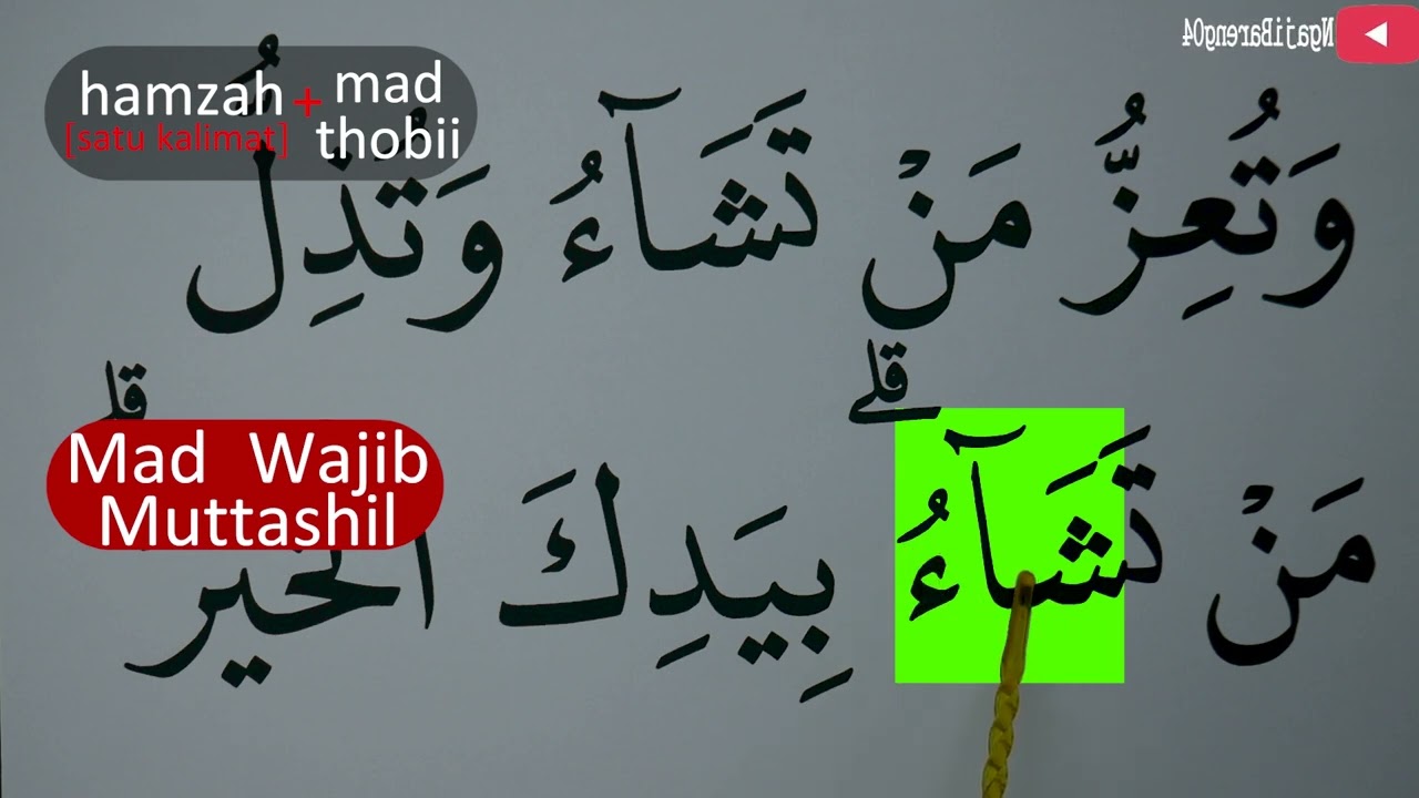 MENGURAI TAJWID SURAH ALI IMRAN AYAT 26 ARTINYA, CARA BACA & CONTOH PENGUCAPANNYA EPS 541