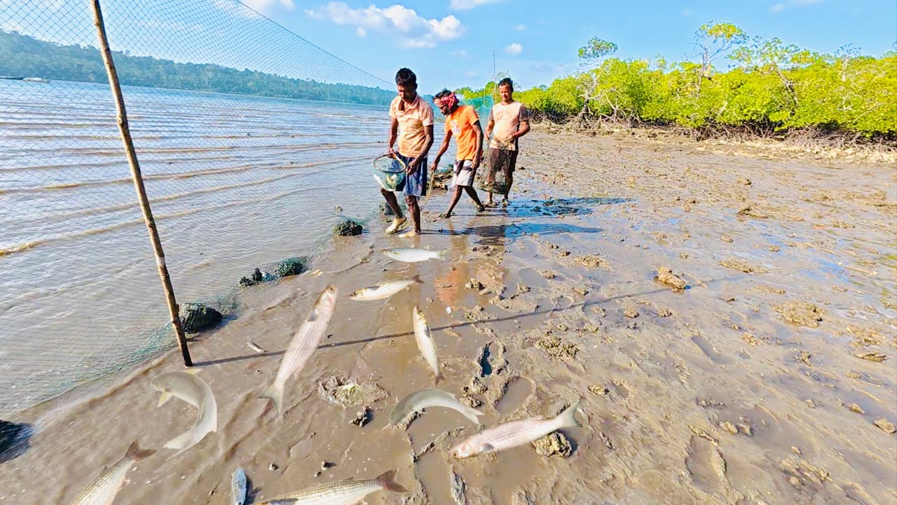 চরপাটায় মাছ ধরতে গিয়ে আবার কুমির দেখলাম @ANDAMAN_HUNTERS