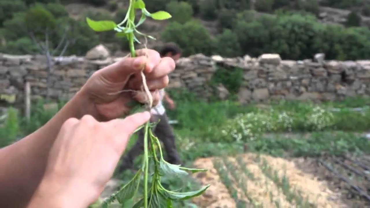 Masia La Torre en Teruel - Centro donde se impartió el Taller Yo Soy de Maite Sarrió - Ecovamos