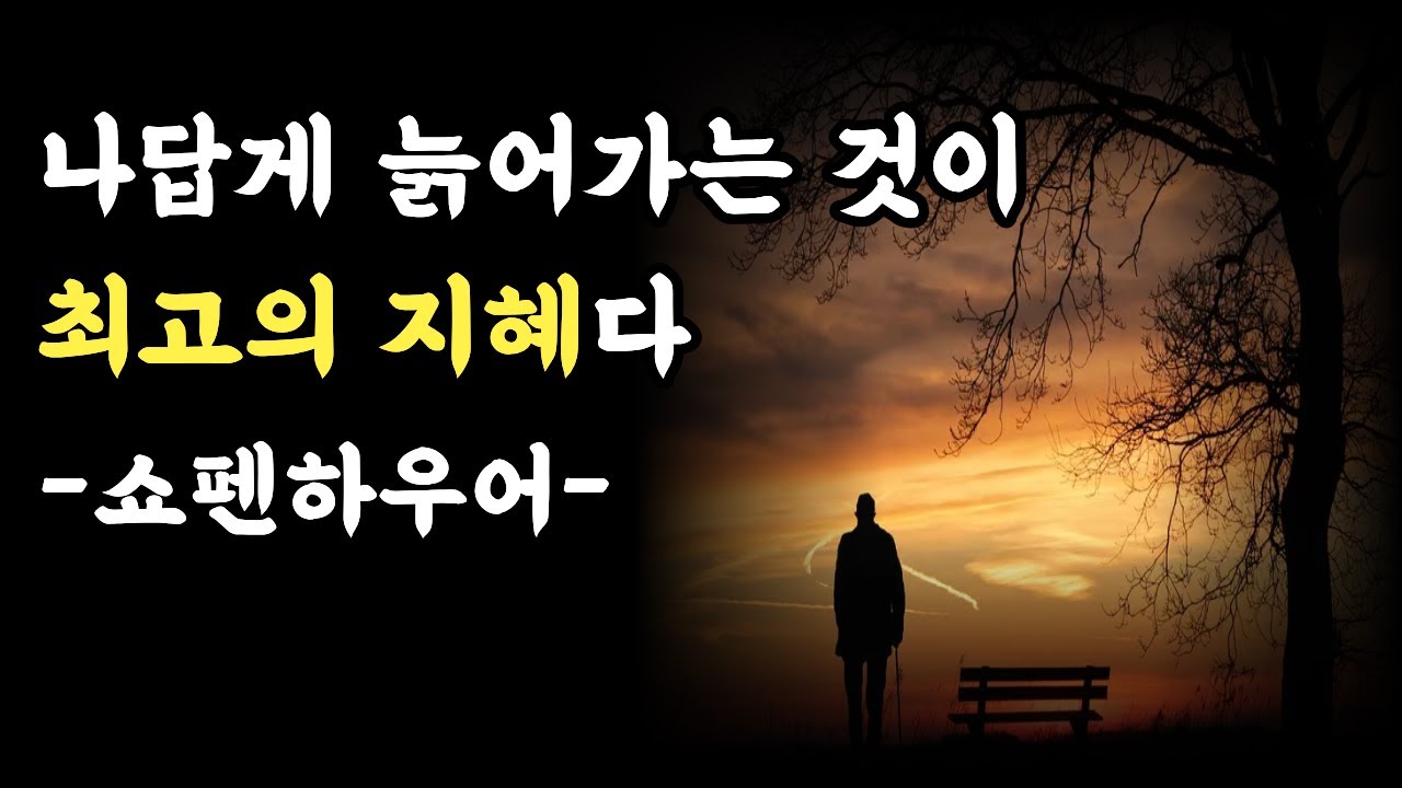 쇼펜하우어에게 배우는 10분 인생 지혜
