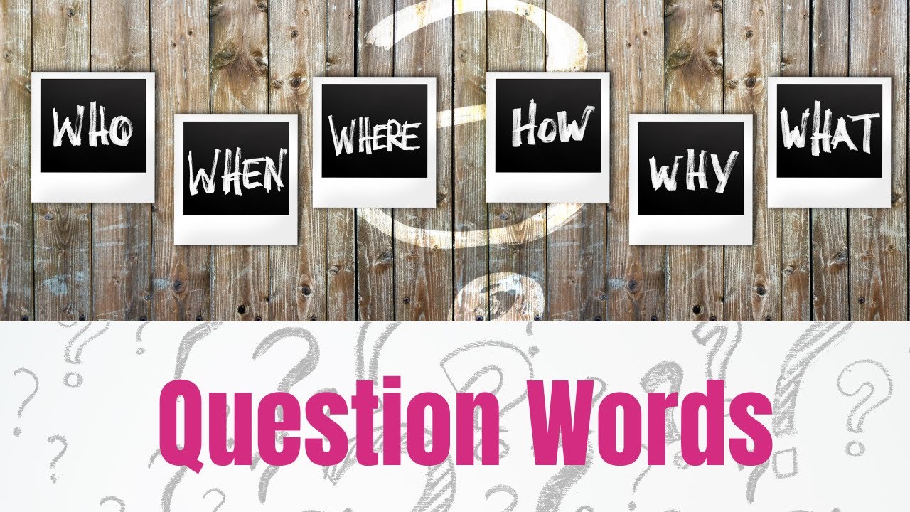 Question Words in English (Beginner English Grammar)