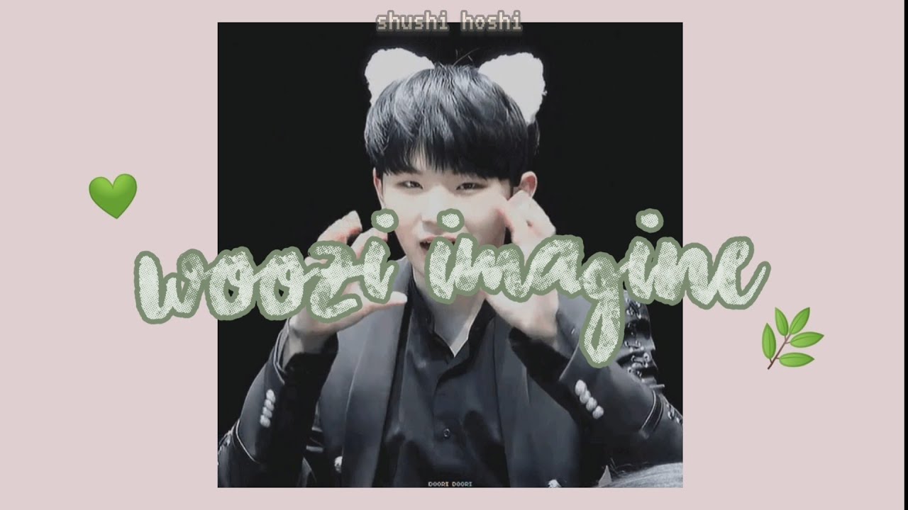 woozi imagine | seventeen ♡