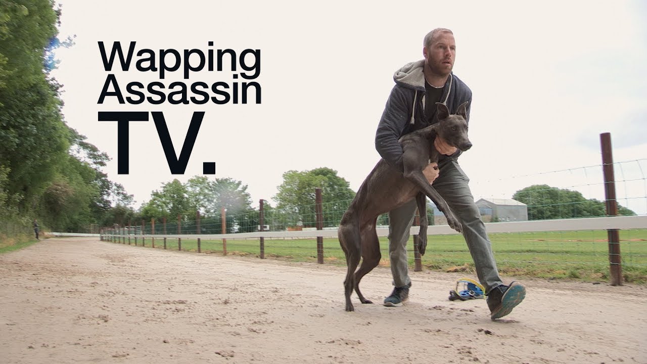 Wapping Assassin TV - Sean Conway Greyhound Breeder - Ireland PART I