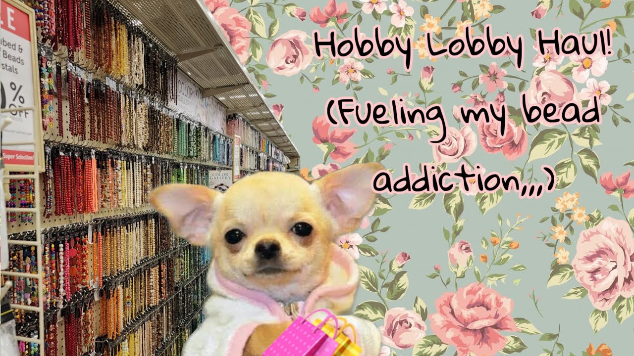Hobby Lobby Haul!🐾 (beads, stickers & more!)