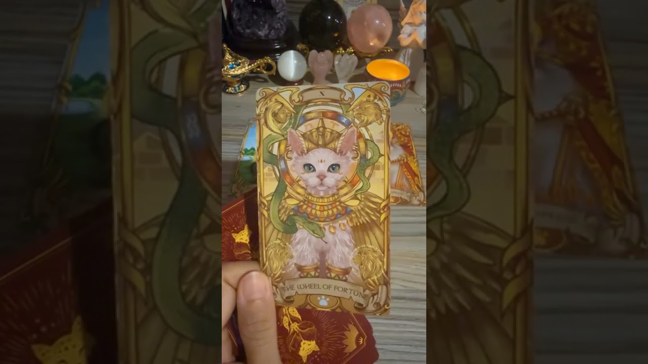🔮☯️ เมื่อถึงเวลาคุณได้รับมากกว่าที่คาดคิด #tarot #ดูดวง #healing #tarotreading 