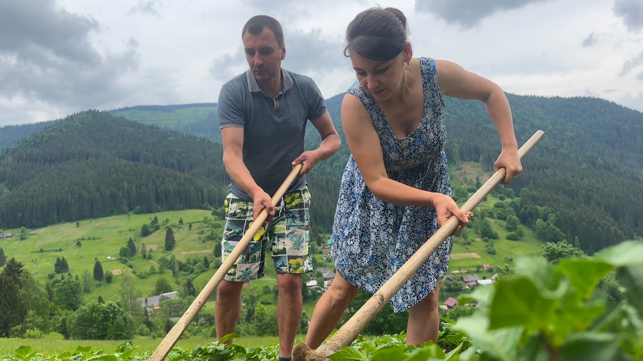 Traditional Carpathian Family Life | Homemade Cheese, Mountain Farming & Spruce Cone Harvest 🏔️🌲❤️