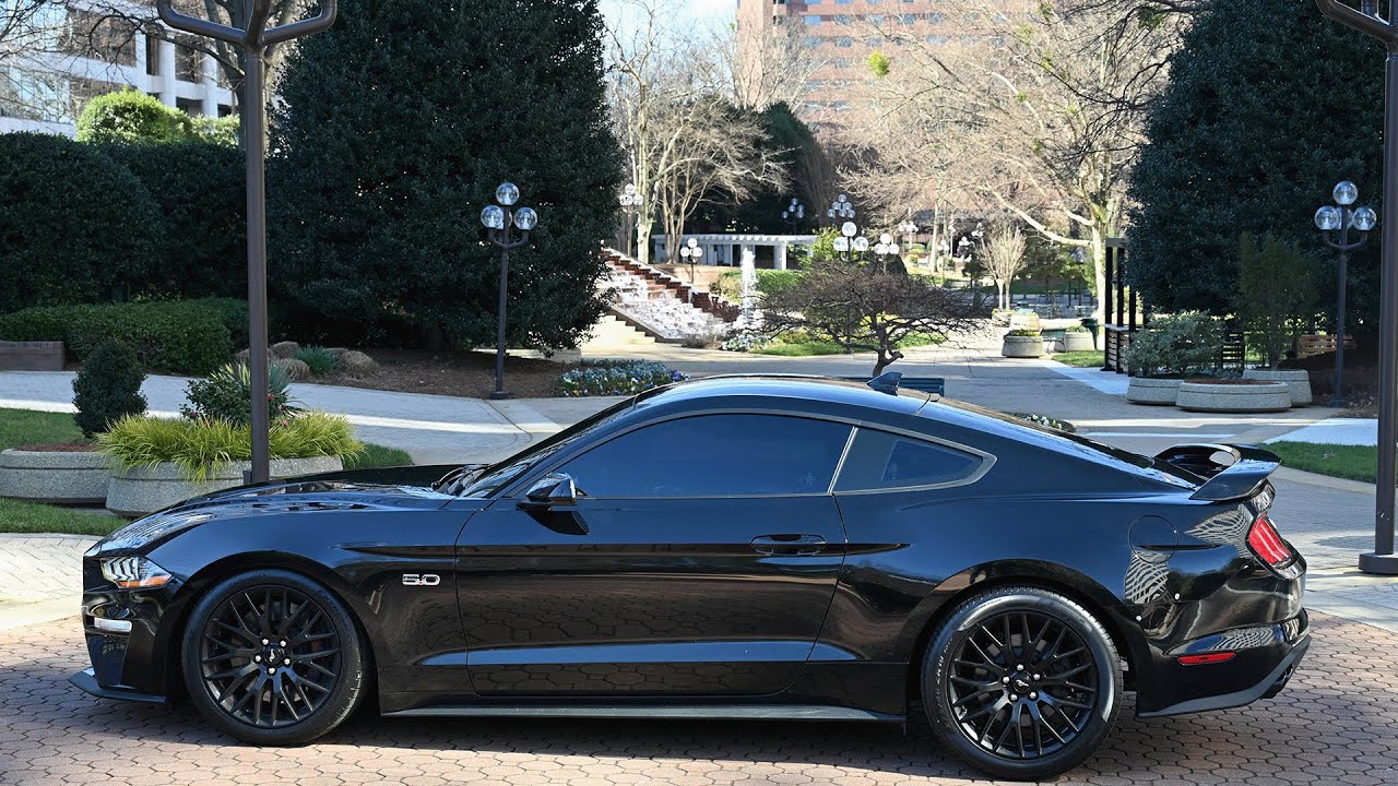 WATCH  The Black Coyote 5.0 | Mustang Cinematic Video