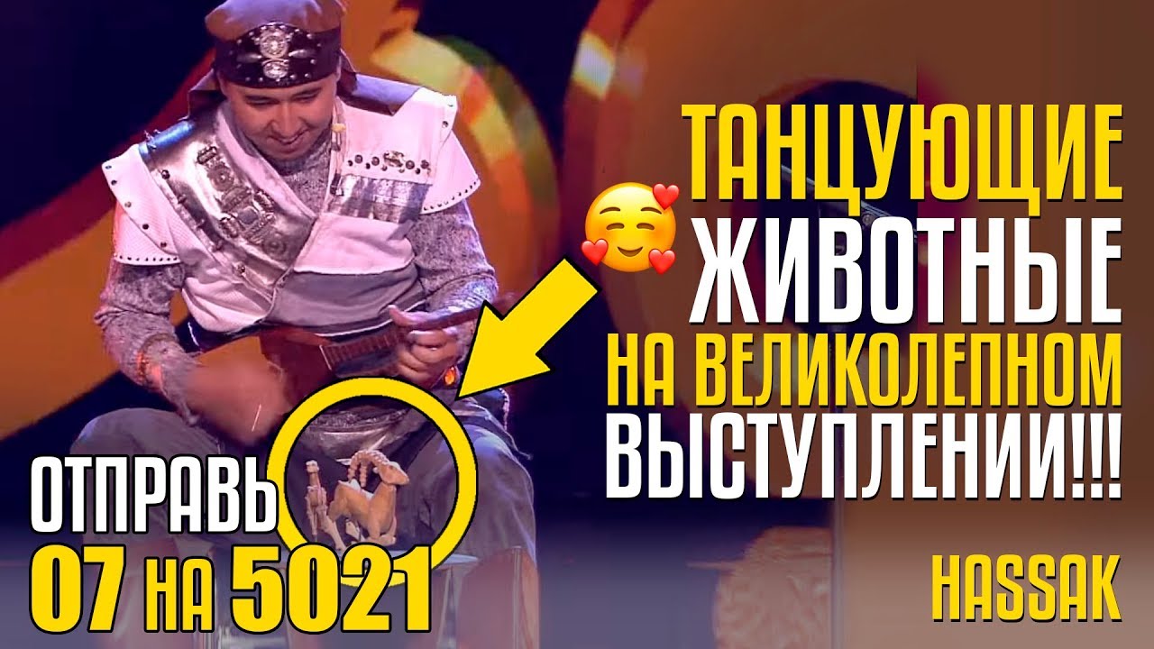 ТАНЦУЮЩИЕ ЖИВОТНЫЕ НА ВЕЛИКОЛЕПНОМ ВЫСТУПЛЕНИИ! Отправь 07 на 5021 за ансамбль HASSAK из Казахстана