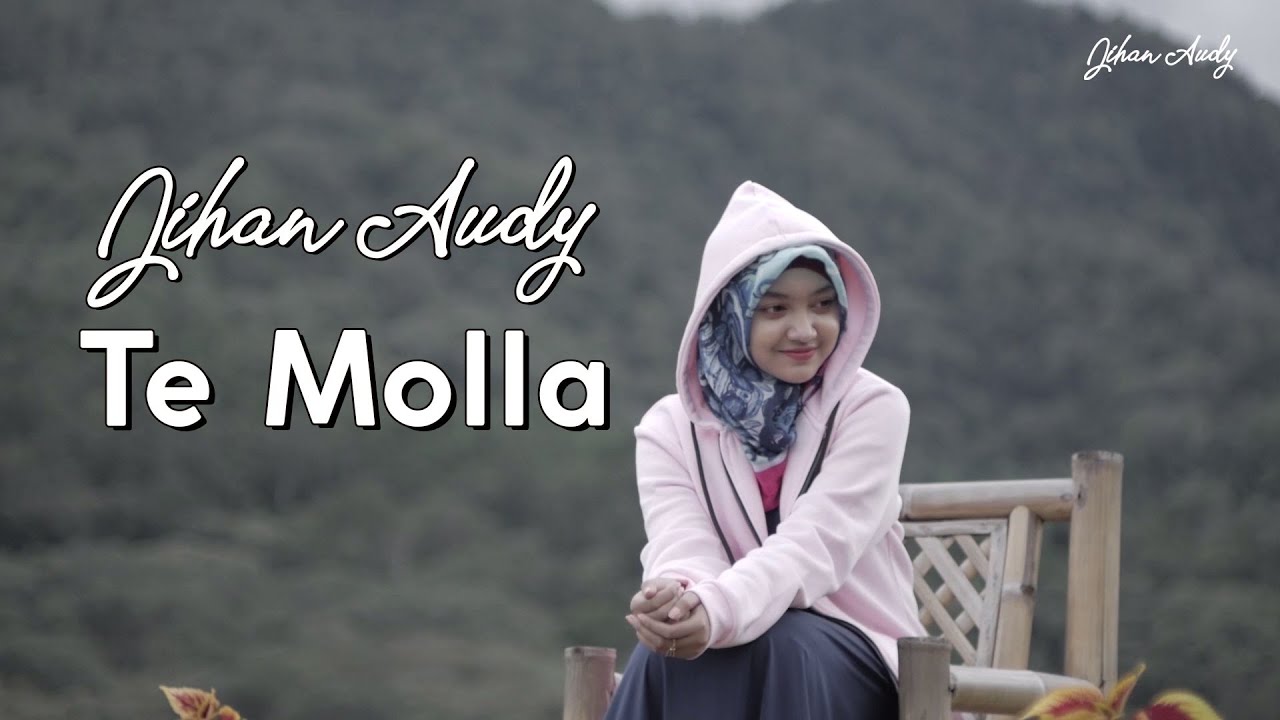 Jihan Audy - TE MOLLA | Cover