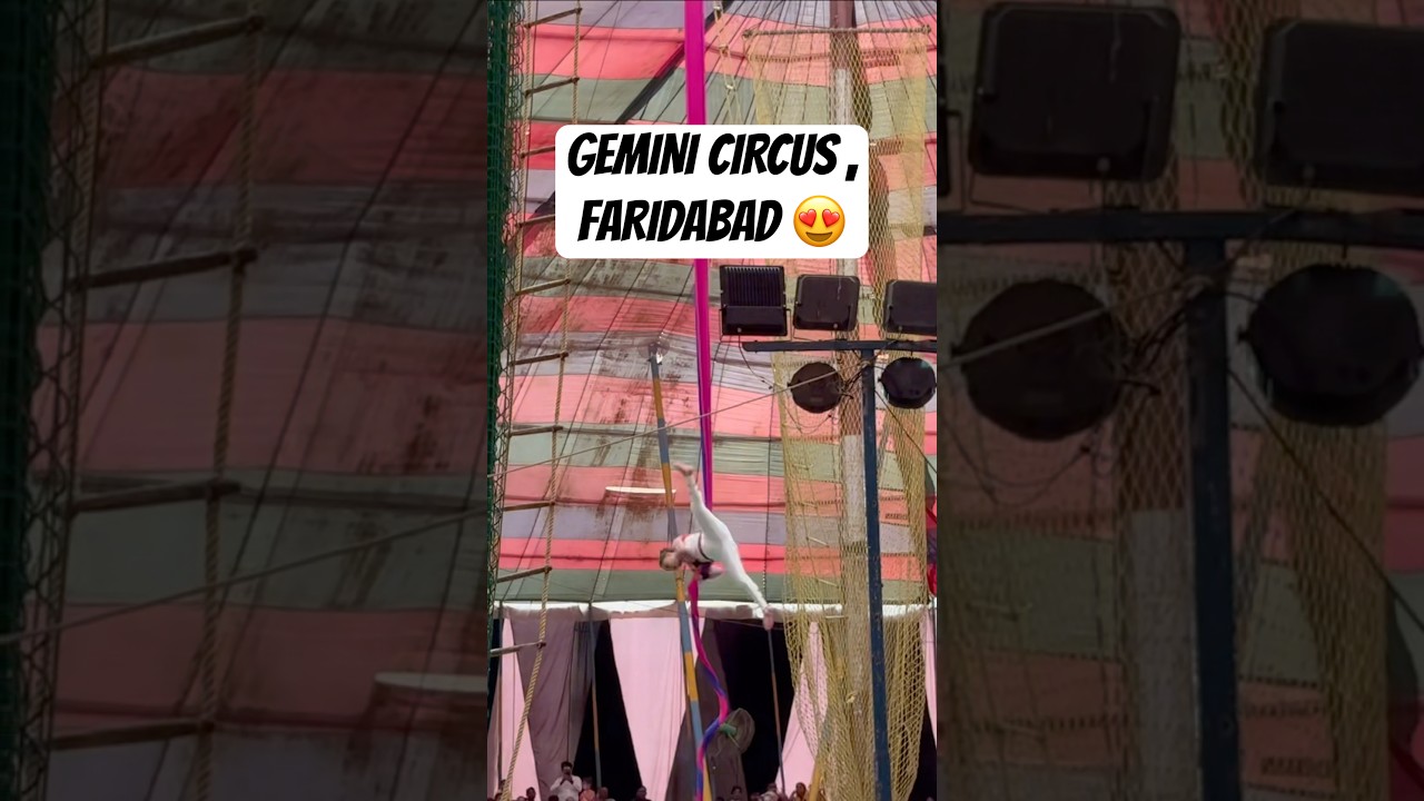 Gemini Circus Faridabad 😍 | #shorts #trending #shortsfeed #viralshorts #circus #comedy