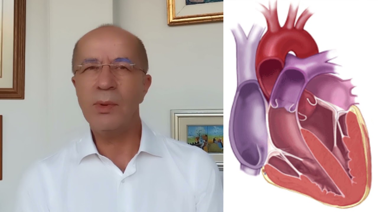 Anne Karnındaki Bebeğin Kalp Muayenesi - Prof. Dr. Cihat Şen