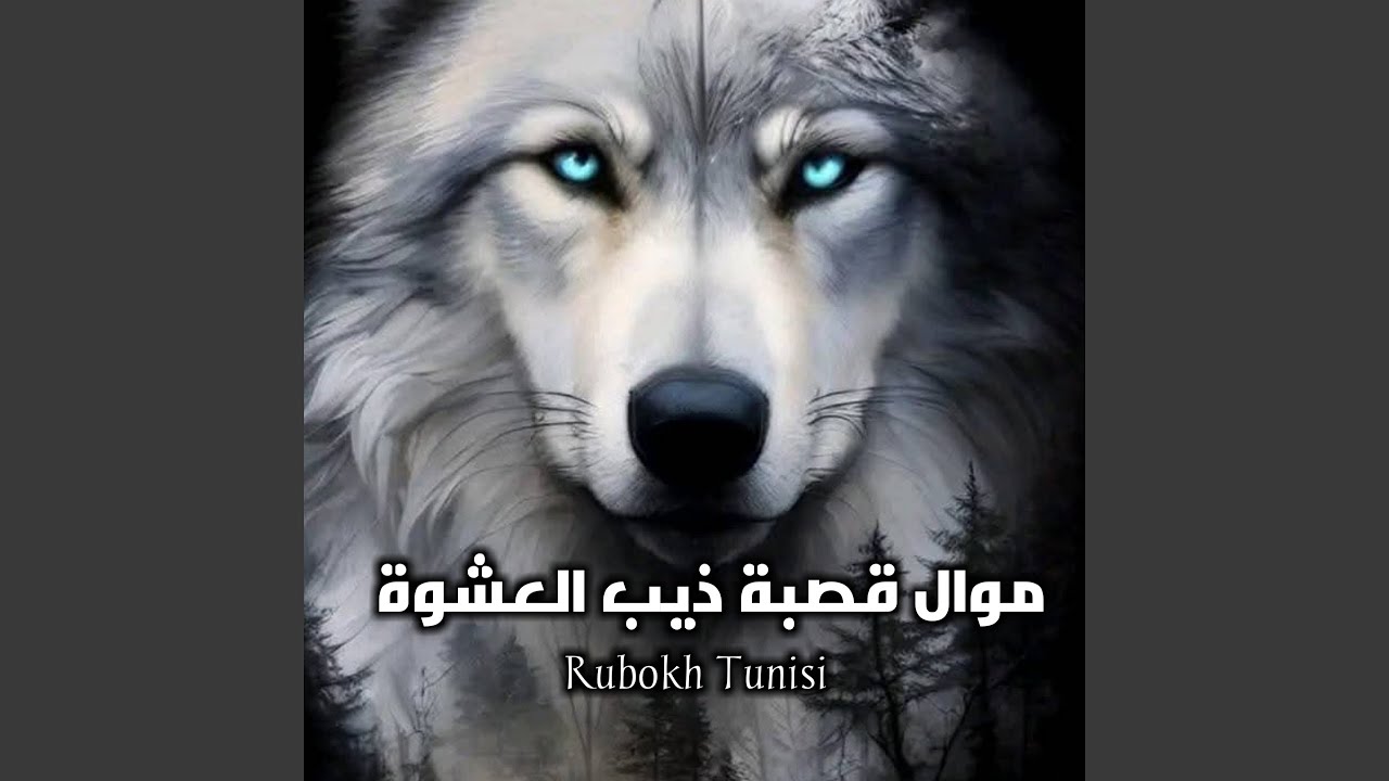 موال قصبة ذيب العشوة