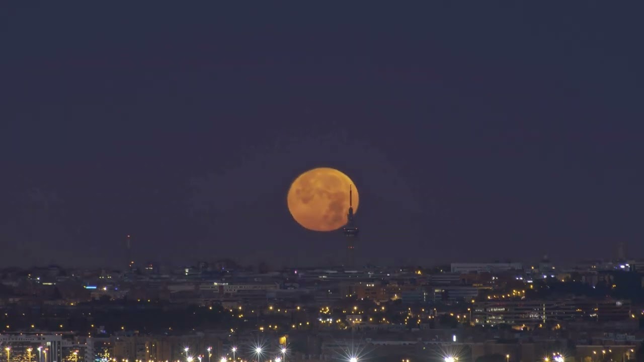 The Moon Room | Ambient Lofi Jazz for Focus, Study, & Relaxation