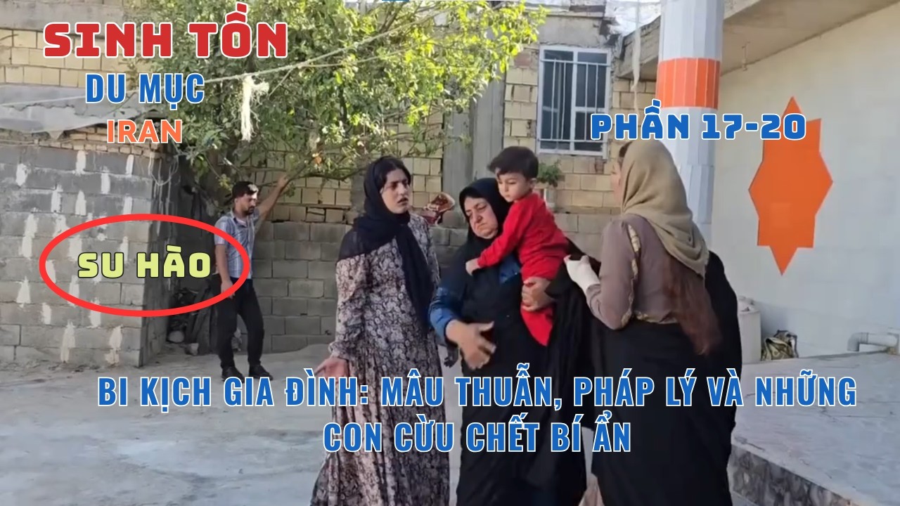 Phần[17 - 20] - Drama Gia Đình: Con Dâu Đẩy Ngã Mẹ Chồng – Gia Đình Nhỏ Giữa Núi Rừng