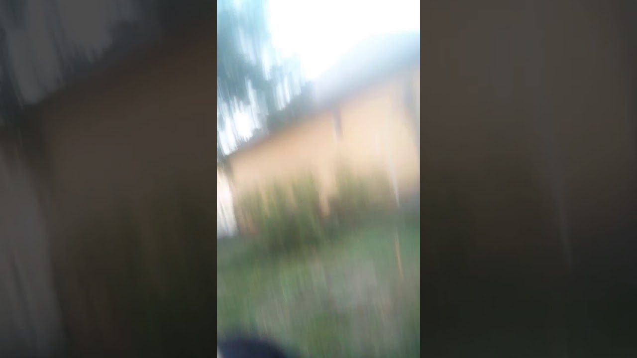 Mindenes vide&oacute; &egrave;s jaa... (#2.) R&egrave;sz