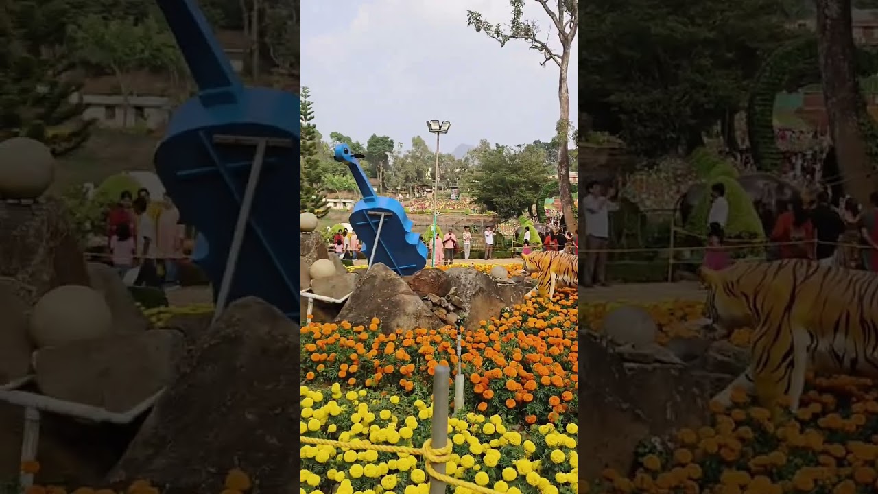 #poopoli #wayanad #ambalavayal #flowershow #2026 