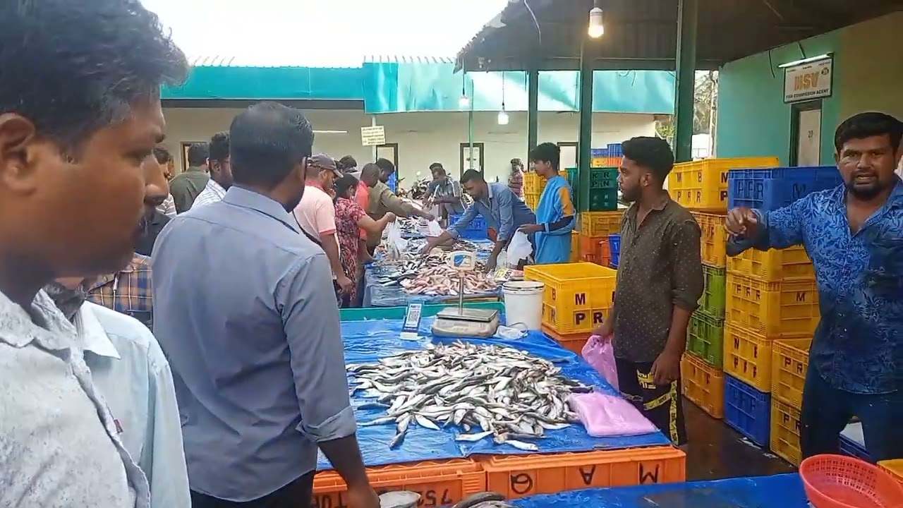 ukkadam fish market || Coimbatore மீன் சந்தை