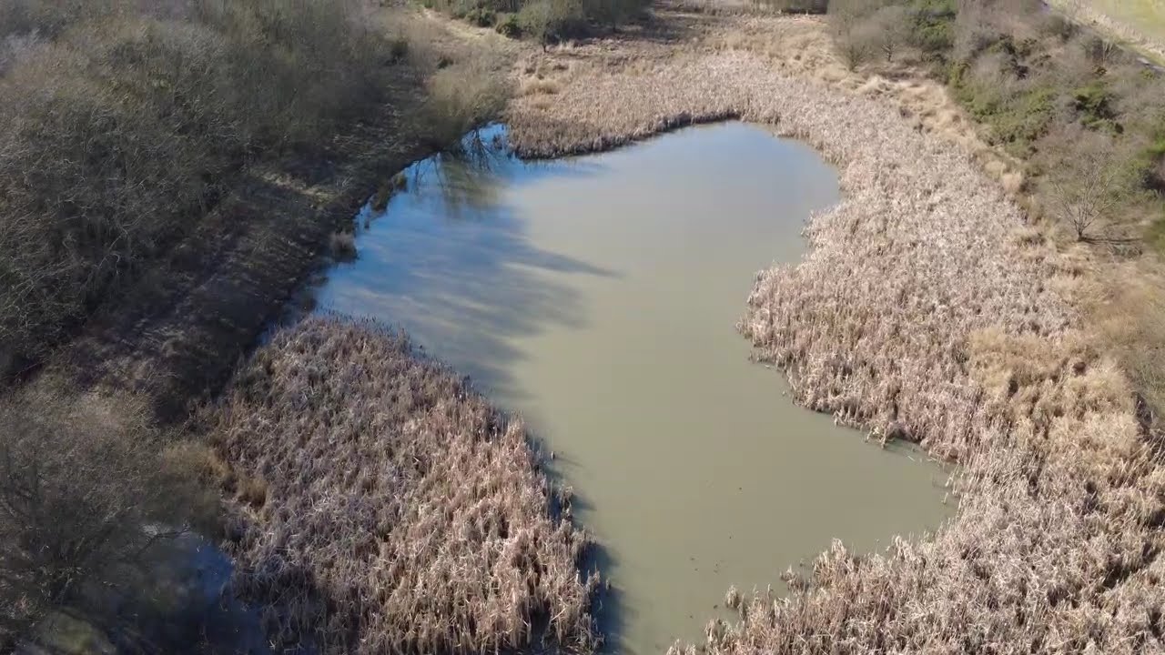 Beautiful Mowbray Burn in Fife | Peaceful Dog Walk & Drone Footage 4K