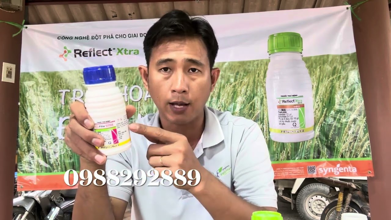 Giải ph&aacute;p phun l&uacute;a trổ c&ugrave;ng Reflect xtra + Filia + famycin
