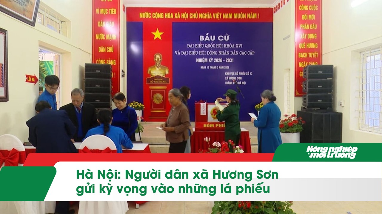 Hà Nội: Người dân xã Hương Sơn gửi kỳ vọng vào những lá phiếu