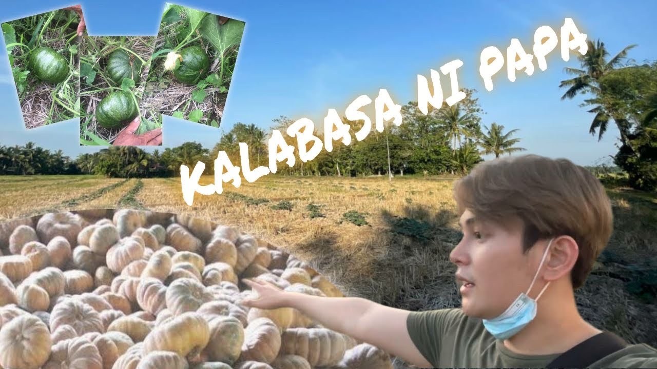 ANG KALABASA NI PAPA VLOG#18