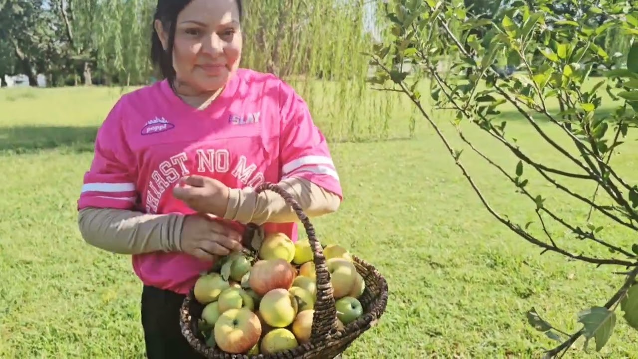 Dulses manzanas y peras  de nuestro huerto  @LucyRich7 