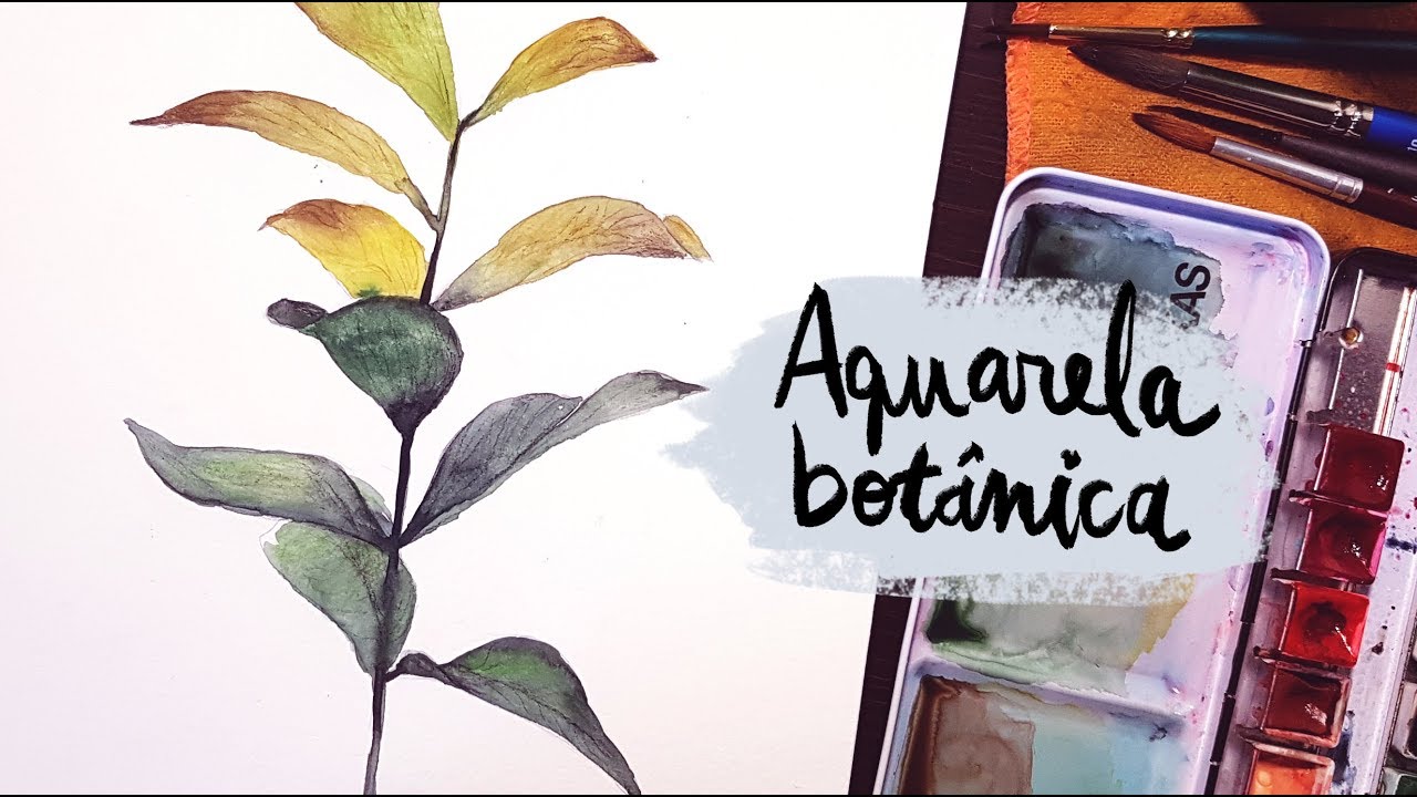 DESENHA E FALA #24 | Aquarela Botânica