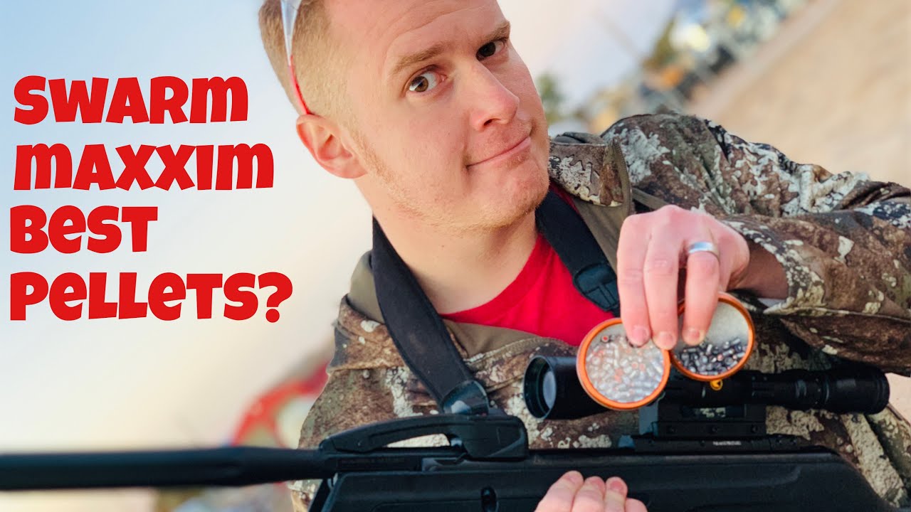GAMO Swarm Maxxim: какие гранулы GAMO работают лучше?
