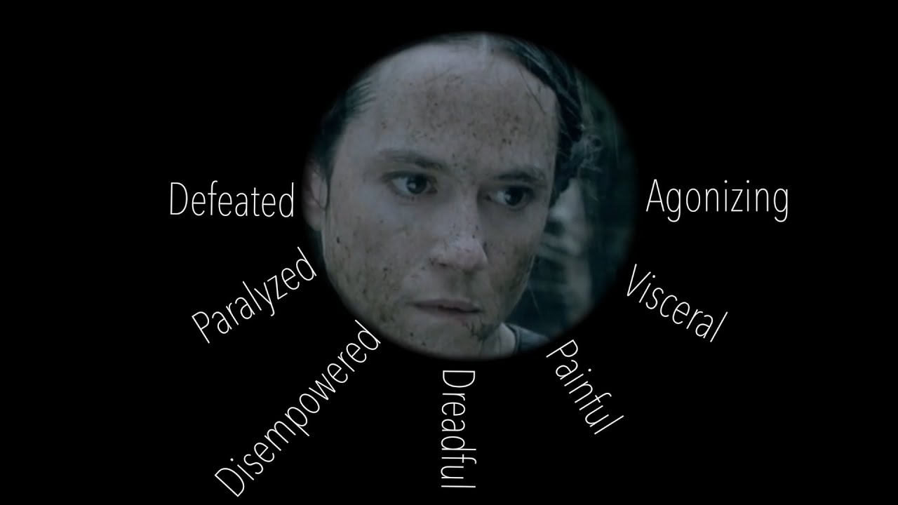 A Video Essay on the Video Essay