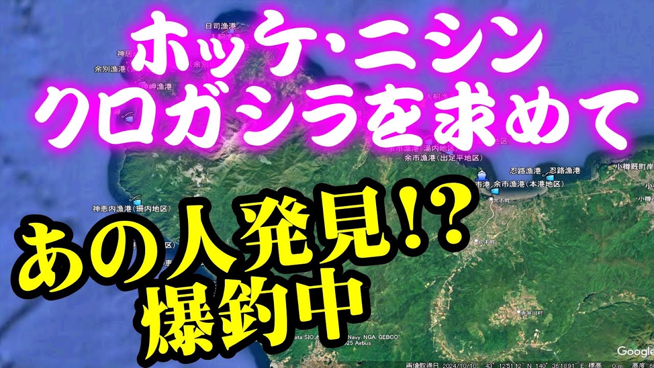 【釣り】北海道日本海・ホッケ・ニシン・クロガシラカレイを求めて探索・あのお方を発見どうぞ～：2025年2月