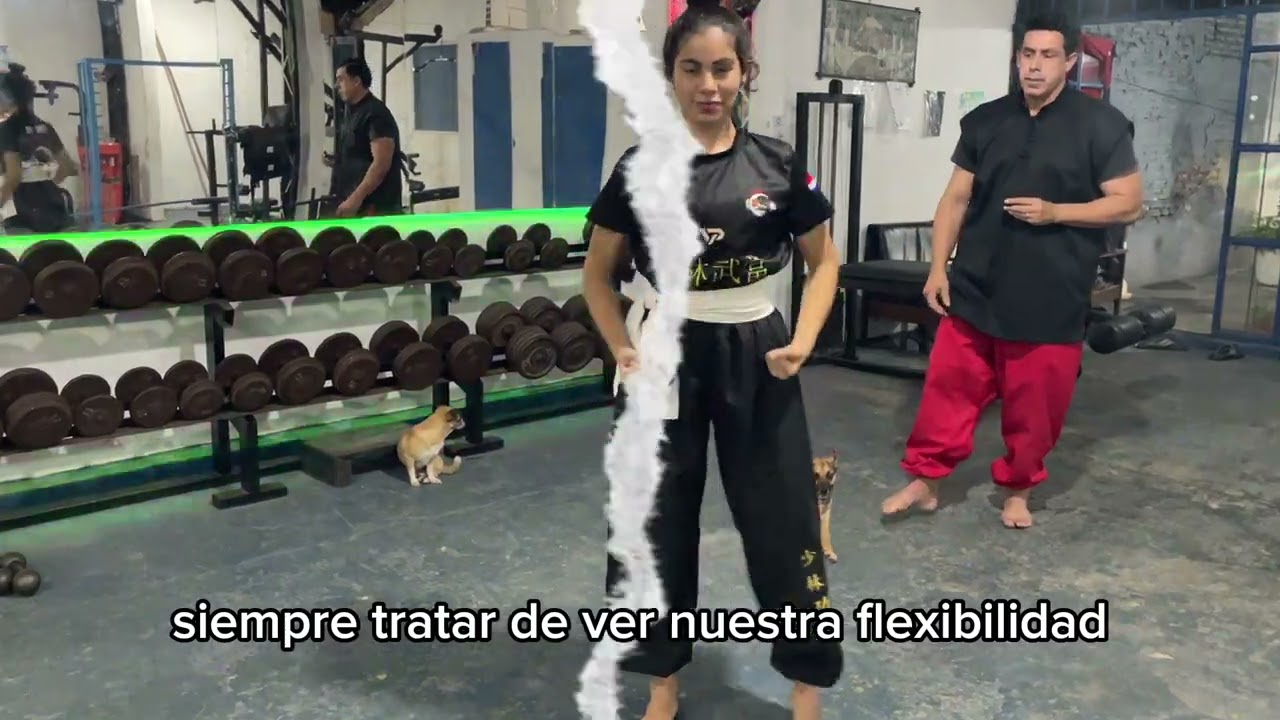 Equilibrio Flexibilidad Fórmula de Kung Fu