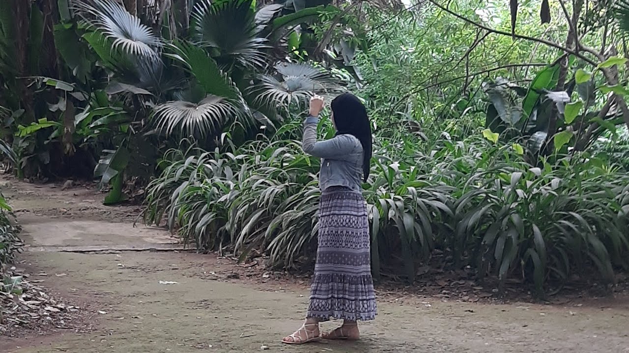the botanicale garden of el-hamma🌿🌲🌱  💚 حديقة الحامة 💛🧡أجمل حدائق العالم 🌸