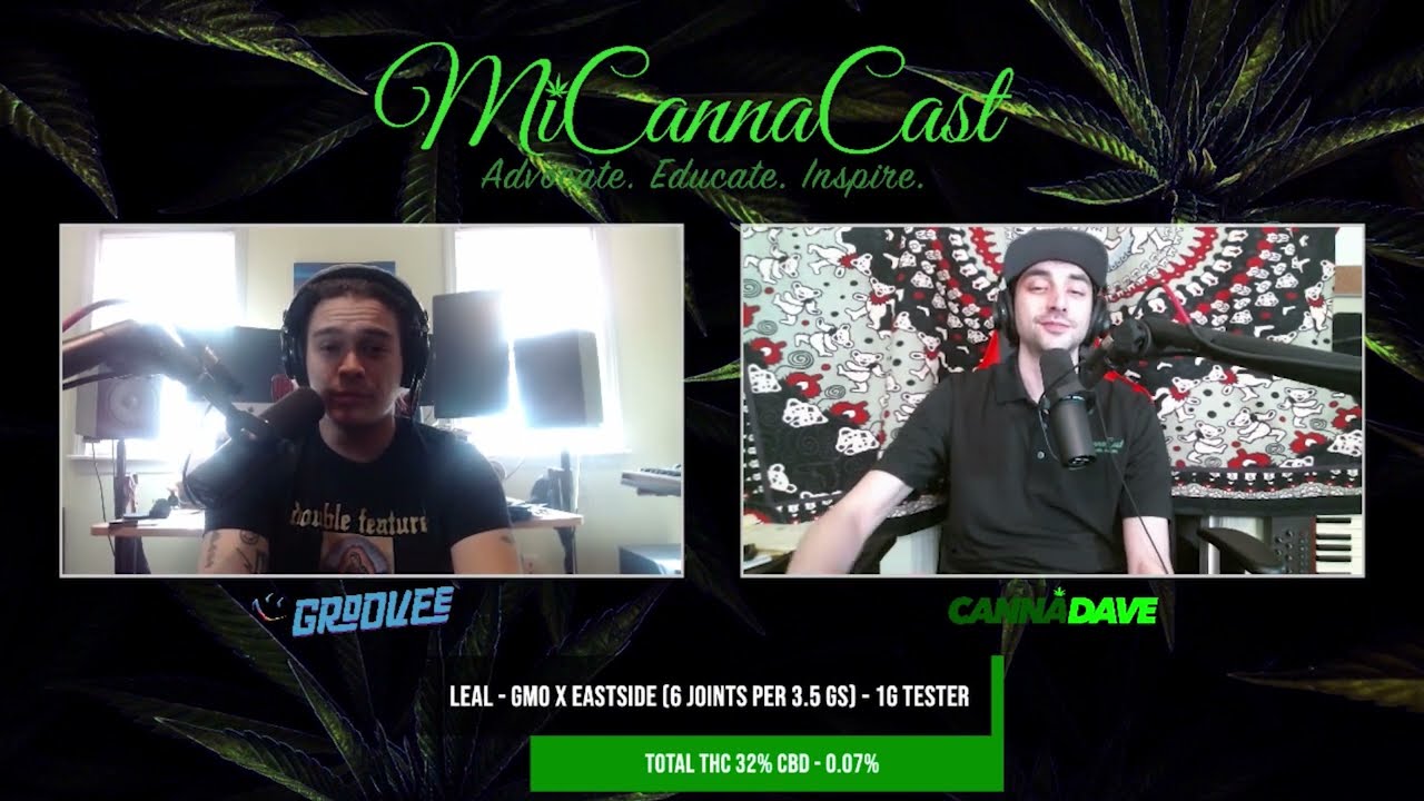 LEAL GMO X Eastside I Hightimes Cup Reviews 2022