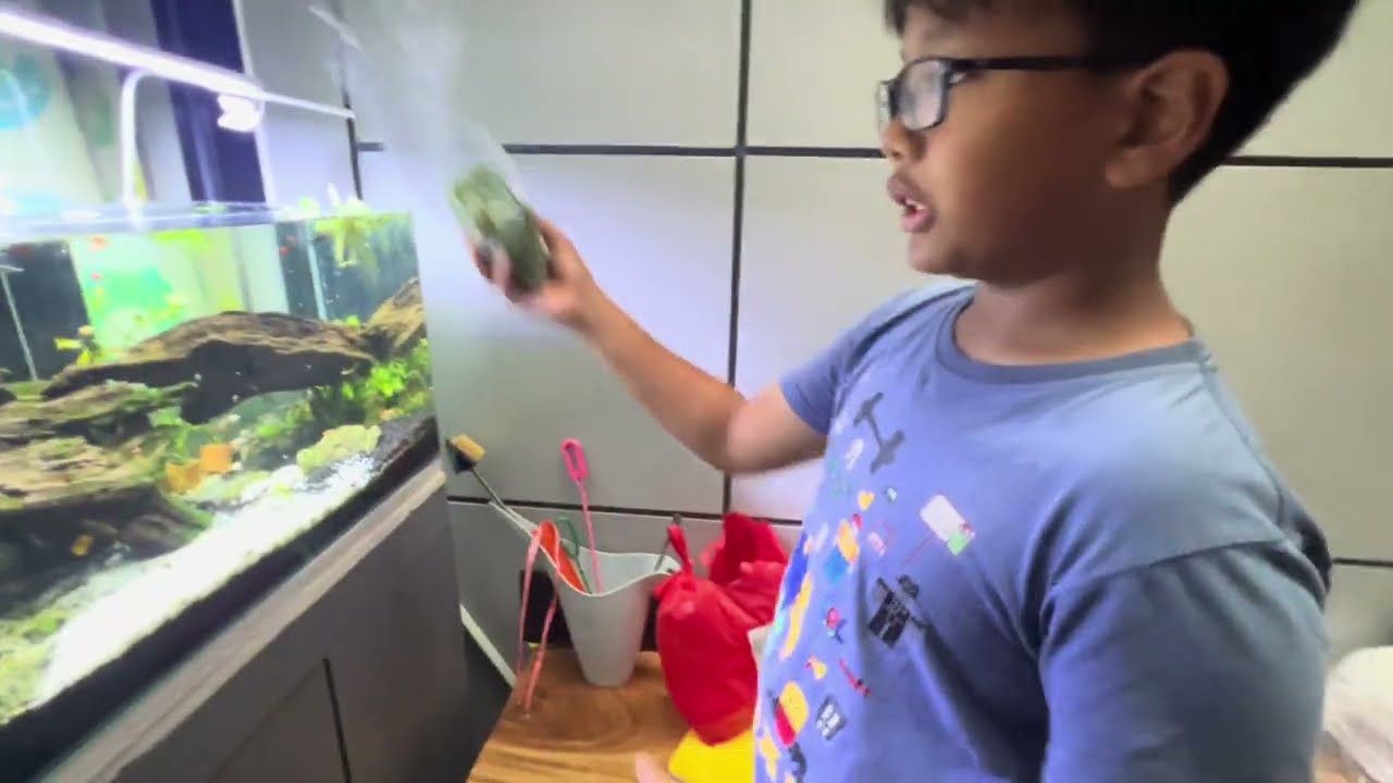 Ikan Hias Aquascape | Ramadhan