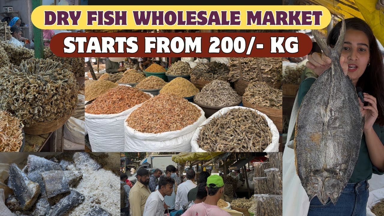 DRY FISH MARKET SEWRI | BIGGEST DRY FISH MARKET IN MUMBAI