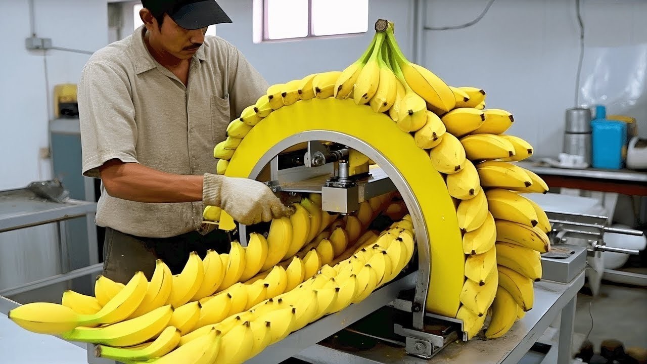 30 Minutes Of Amazing Continuous Production Machinery & Most Admirable Worker Ever Before ▶25