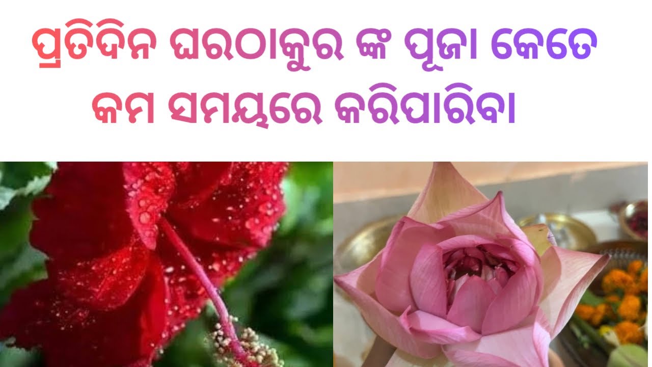 ପ୍ରତିଦିନ ଘର ଠକୁରଙ୍କ ପୂଜା କମ ସମୟରେ କରିପାରିବା!! Every morning home temple puja!!